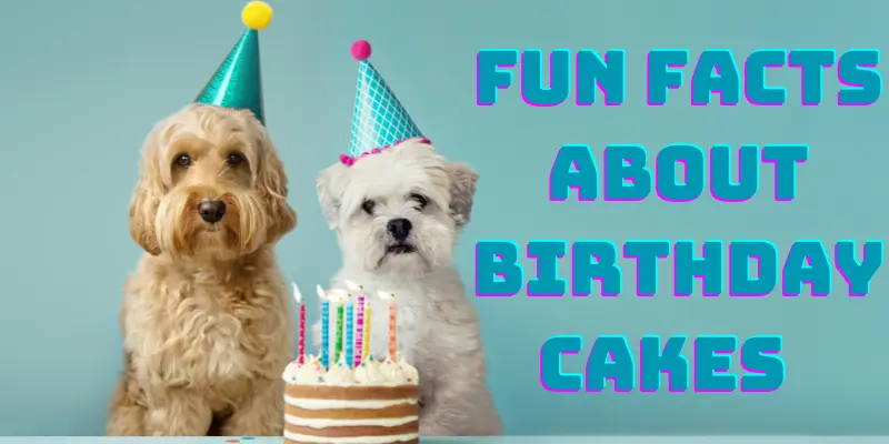 Fun Facts About Birthday Cakes Fun Facts About Birthday Cakes