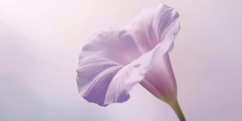 april birthday flower
